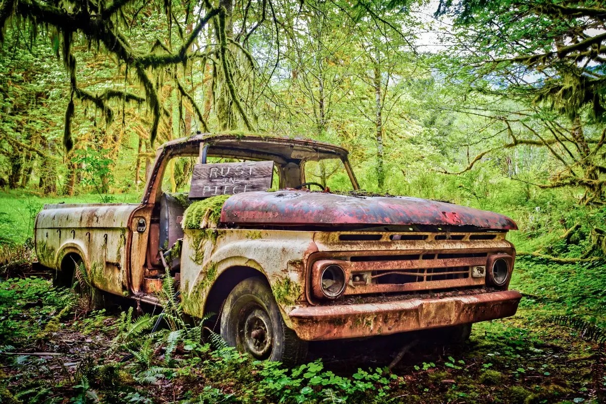 The Environmental Benefits of Car Scrapping with Car Scrap Karo